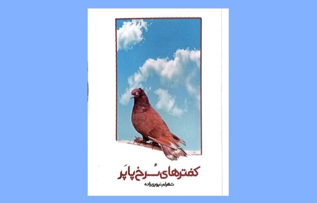 در اعماقِ پیچیده سادگی