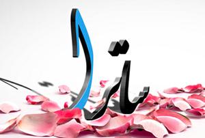 آغاز عمليات اجرايي راه اندازي ساتراي توليدي در استان يزد